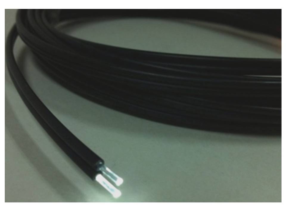 FIBRA ÓPTICA DOBLE FOPTD